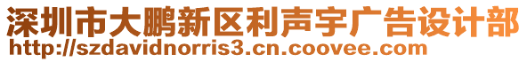 深圳市大鵬新區利聲宇廣告設計部