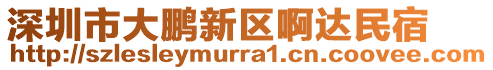深圳市大鵬新區啊達民宿