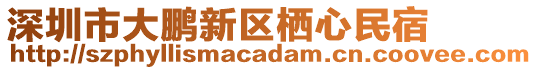 深圳市大鵬新區棲心民宿