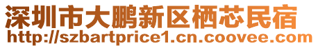 深圳市大鵬新區棲芯民宿