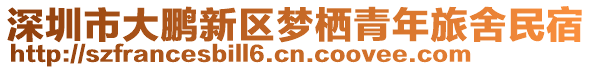 深圳市大鵬新區(qū)夢棲青年旅舍民宿