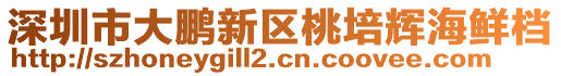深圳市大鵬新區(qū)桃培輝海鮮檔