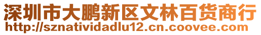 深圳市大鵬新區(qū)文林百貨商行