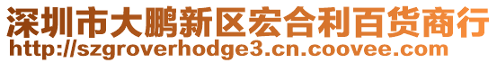 深圳市大鵬新區(qū)宏合利百貨商行