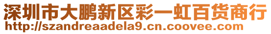 深圳市大鵬新區彩一虹百貨商行