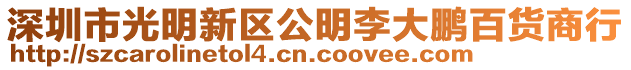 深圳市光明新區公明李大鵬百貨商行