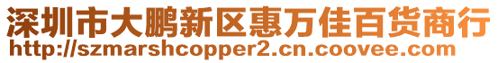 深圳市大鵬新區惠萬佳百貨商行