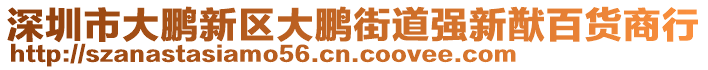 深圳市大鵬新區大鵬街道強新猷百貨商行