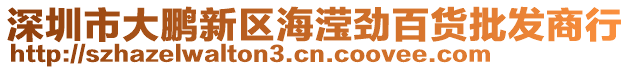 深圳市大鵬新區海瀅勁百貨批發商行