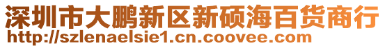 深圳市大鵬新區(qū)新碩海百貨商行