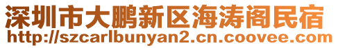 深圳市大鵬新區(qū)海濤閣民宿