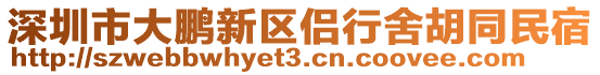 深圳市大鵬新區侶行舍胡同民宿