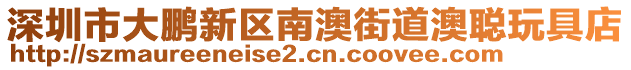 深圳市大鵬新區南澳街道澳聰玩具店