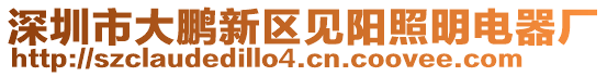 深圳市大鵬新區見陽照明電器廠
