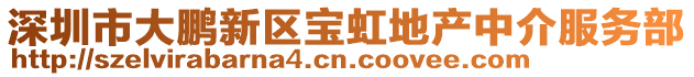 深圳市大鵬新區寶虹地產中介服務部
