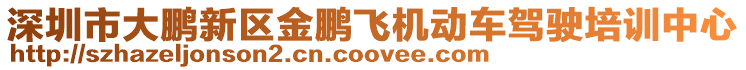 深圳市大鵬新區金鵬飛機動車駕駛培訓中心