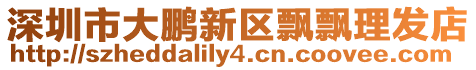 深圳市大鵬新區飄飄理發店