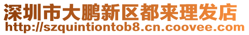 深圳市大鵬新區都來理發店
