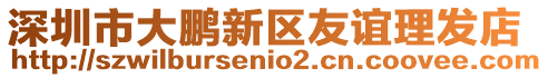 深圳市大鵬新區友誼理發店