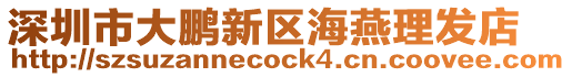 深圳市大鵬新區海燕理發店