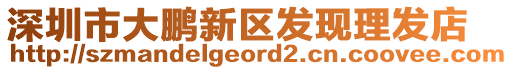 深圳市大鵬新區(qū)發(fā)現理發(fā)店