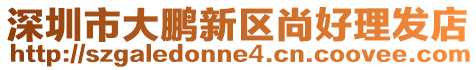 深圳市大鵬新區尚好理發店