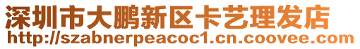 深圳市大鵬新區卡藝理發店