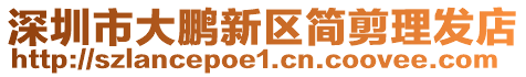 深圳市大鵬新區簡剪理發店