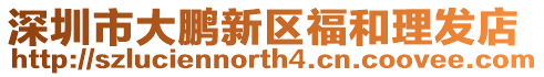 深圳市大鵬新區福和理發店