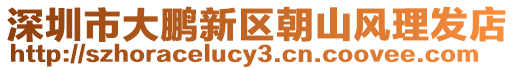 深圳市大鵬新區(qū)朝山風理發(fā)店
