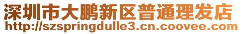 深圳市大鵬新區普通理發店
