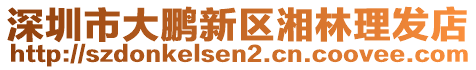 深圳市大鵬新區湘林理發店