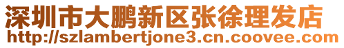 深圳市大鵬新區張徐理發店