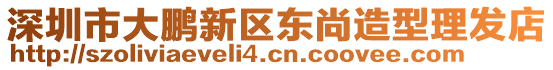 深圳市大鵬新區東尚造型理發店