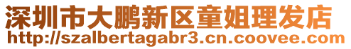 深圳市大鵬新區(qū)童姐理發(fā)店