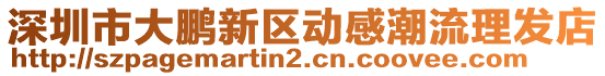 深圳市大鵬新區動感潮流理發店