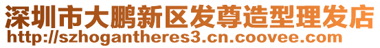 深圳市大鵬新區(qū)發(fā)尊造型理發(fā)店