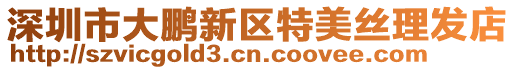 深圳市大鵬新區特美絲理發店