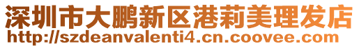 深圳市大鵬新區港莉美理發店