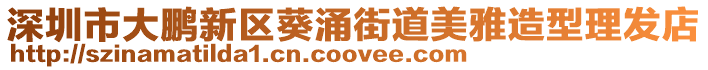 深圳市大鵬新區(qū)葵涌街道美雅造型理發(fā)店