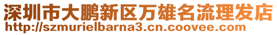 深圳市大鵬新區(qū)萬雄名流理發(fā)店