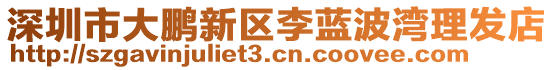 深圳市大鵬新區(qū)李藍(lán)波灣理發(fā)店