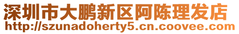 深圳市大鵬新區阿陳理發店