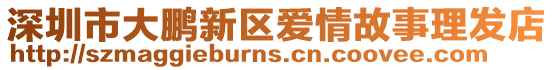深圳市大鵬新區愛情故事理發店