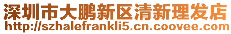 深圳市大鵬新區(qū)清新理發(fā)店