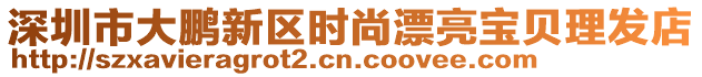 深圳市大鵬新區時尚漂亮寶貝理發店