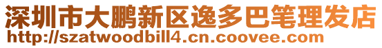 深圳市大鵬新區逸多巴筆理發店