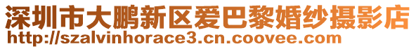 深圳市大鵬新區愛巴黎婚紗攝影店