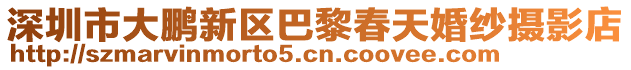深圳市大鵬新區巴黎春天婚紗攝影店