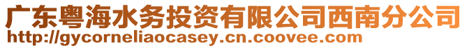 廣東粵海水務投資有限公司西南分公司